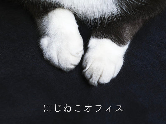 名刺を作り替えました。